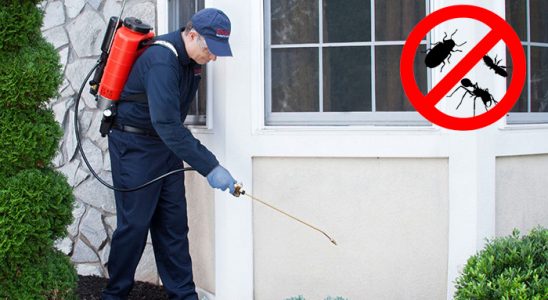 Birecik Bit İlaçlama böcek ilaçlama ve haşere kontrolü — ilaclama-tr.com